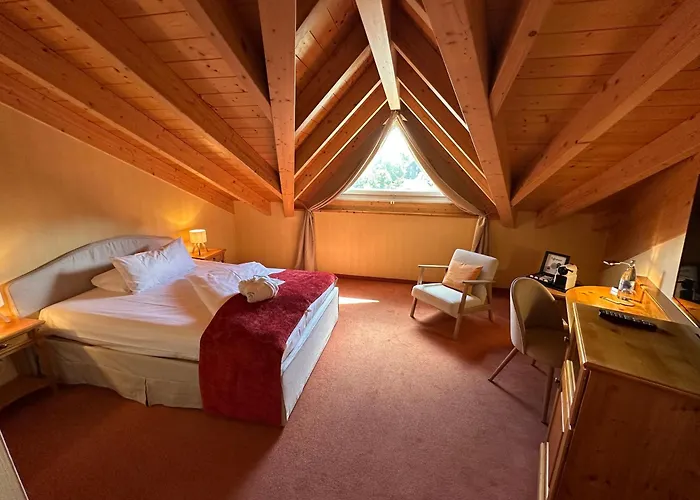 魏塞巴尔酒店 4* 米尔海姆